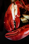 Giant kg-Grade Lobster Claw | Super Thick & Juicy | Premium Seafood Singapore - Only S$9.90